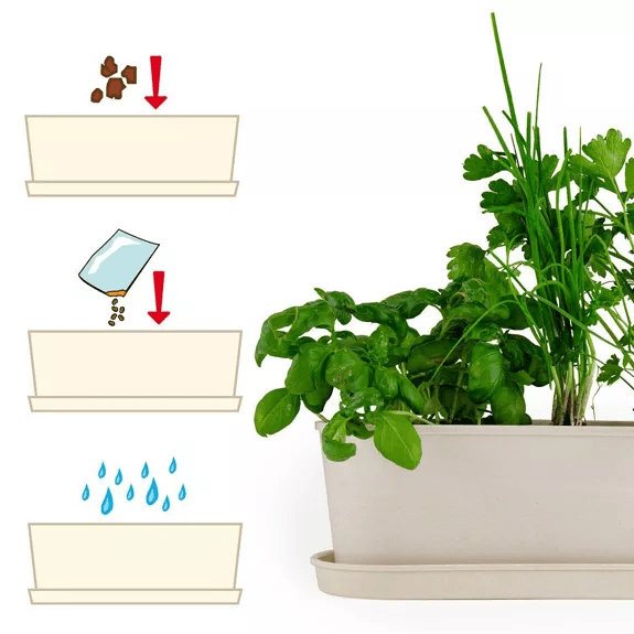 Aromates - Jardinière bambou