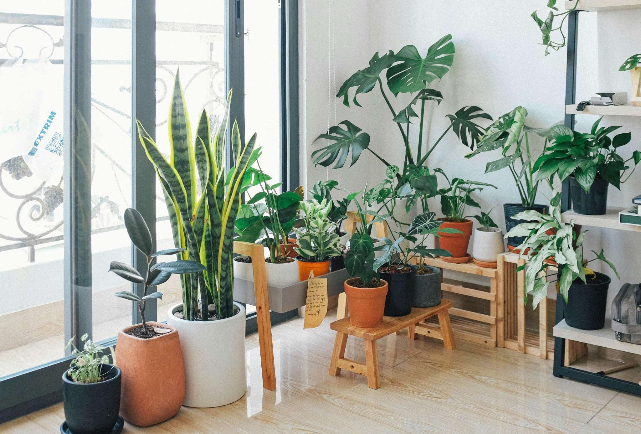 jardinage olla