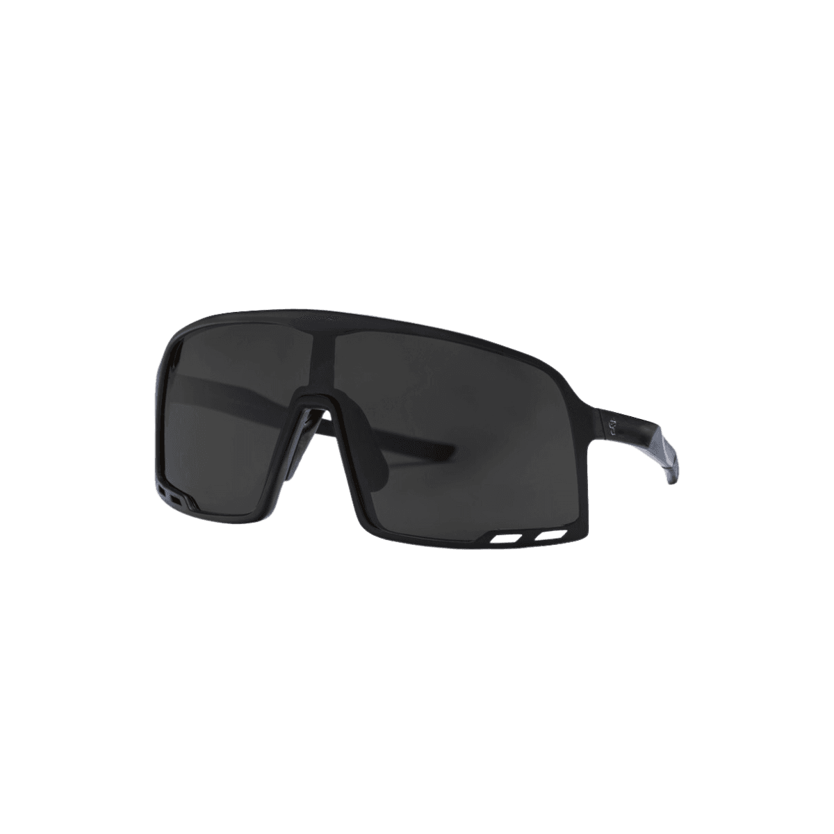 Zonnebril Henrik Matte Black 16132PP