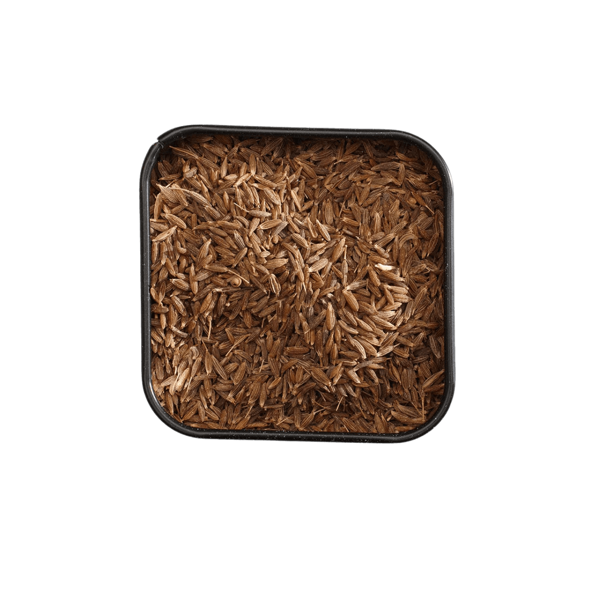 Hele komijn - WHOLE CUMIN - ORGANIC 50g