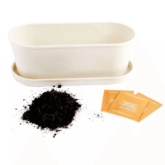 Aromates - Jardinière bambou