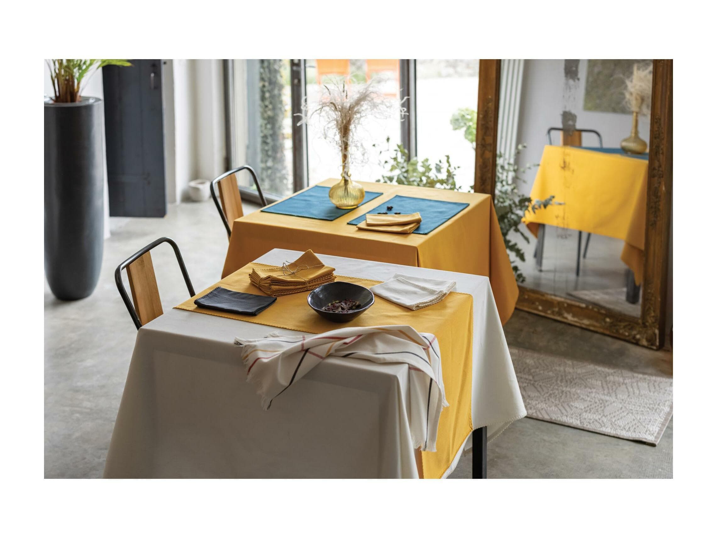 Nappe Delia Ombre 170 x 300