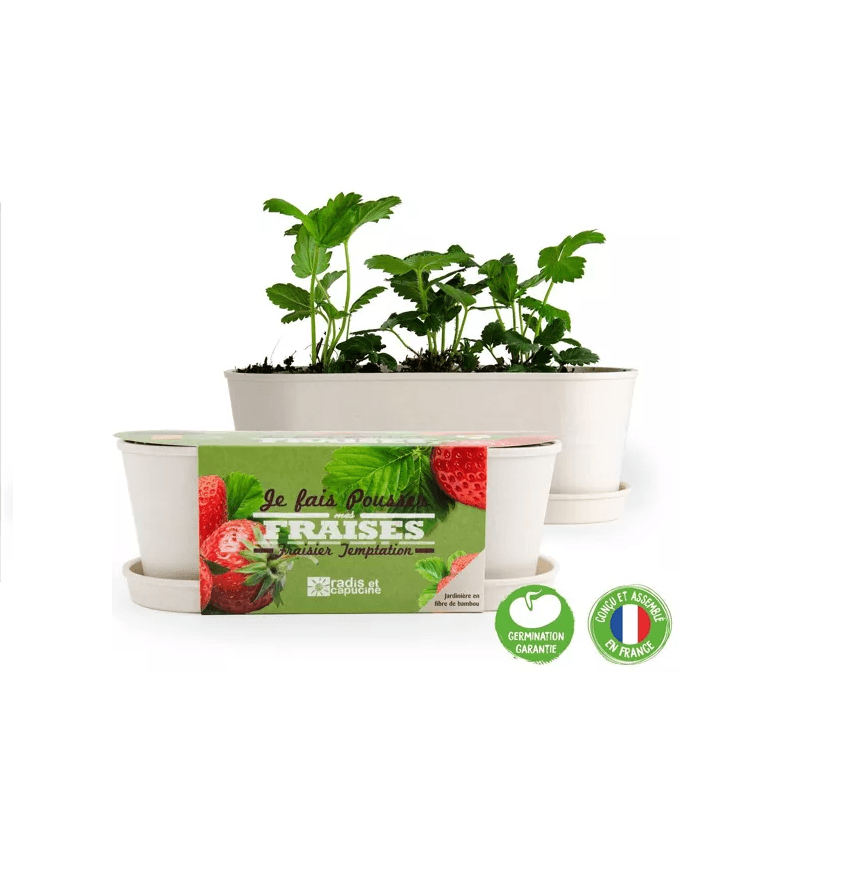 Aardbeienplanter - Jardinière bambou
