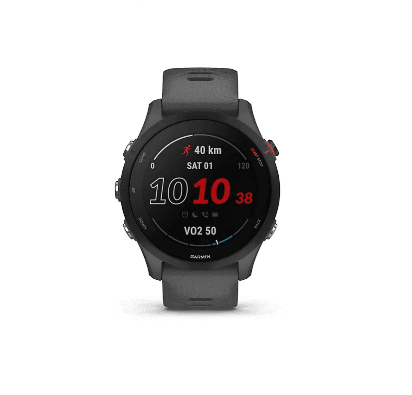 Horloge Garmin Forerunner 255 - Slate Grey
