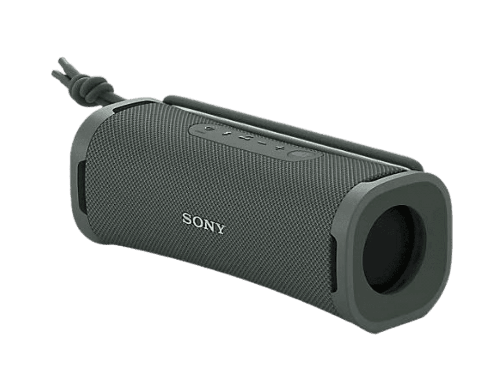 Enceinte portable - ULT Field 1 SRSULT10H - Gris boisé